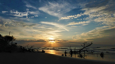 Bone beach